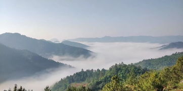 云上水鄉普者黑行攝記 漫步舍得草場，邂逅五月滇東南的詩意